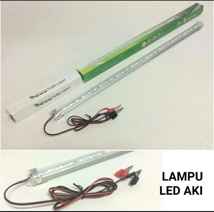 LAMPU AKI T4 50 CM
