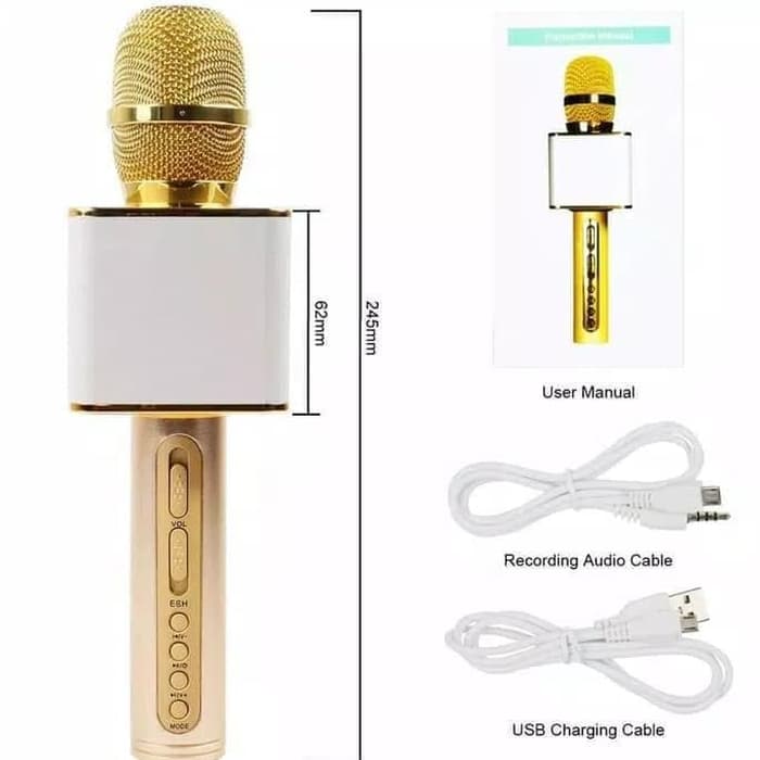 MIC KARAOKE YS-08A (SOLD)